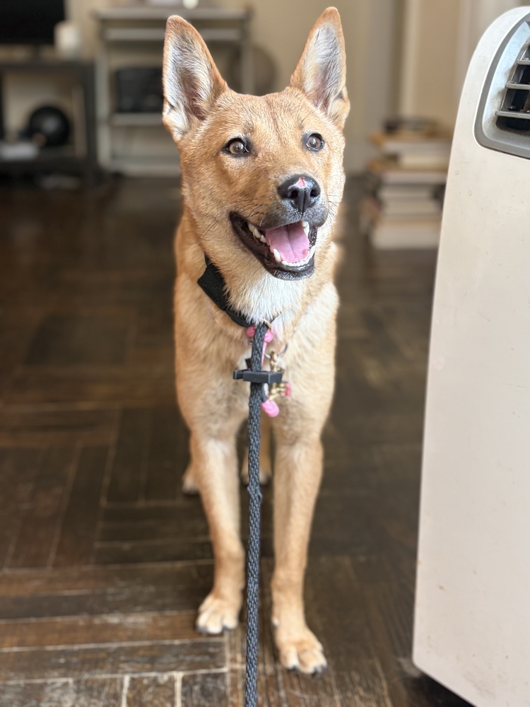Mia