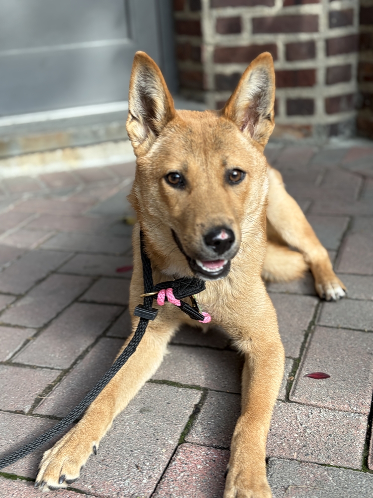 Mia