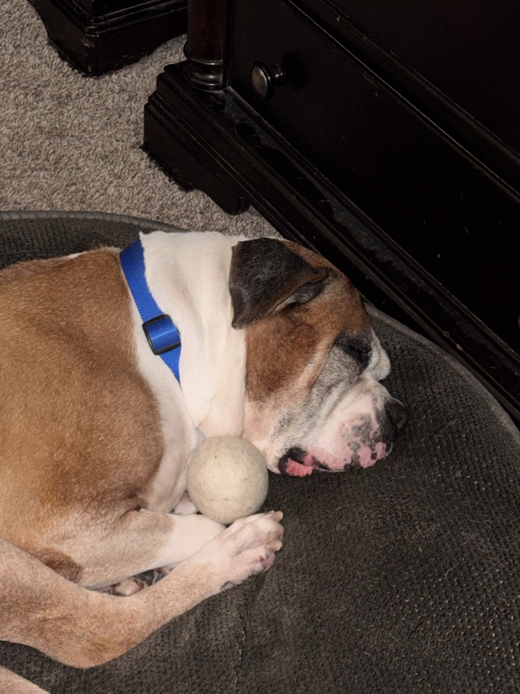 Diesel IX, photo 2