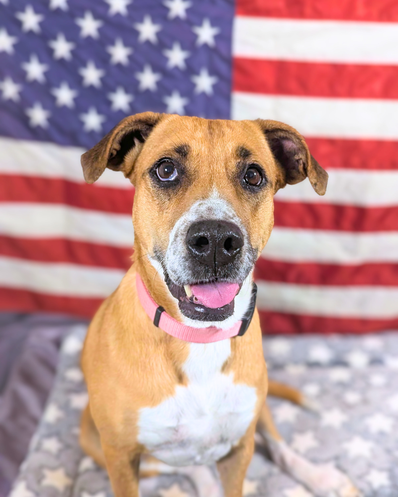 Josie Sue