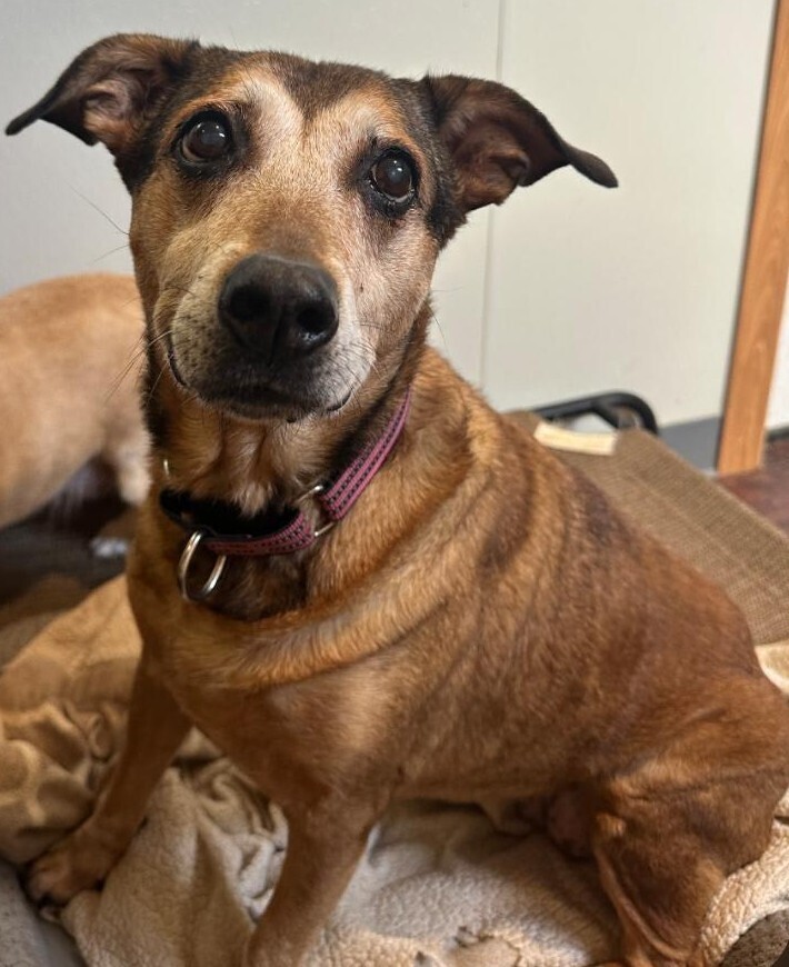Tiki