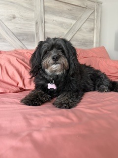 Photo of Lula