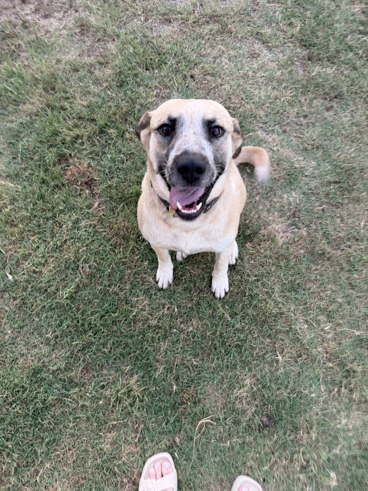 Smiley photo 2