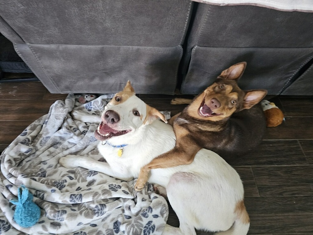 Tucker photo 4