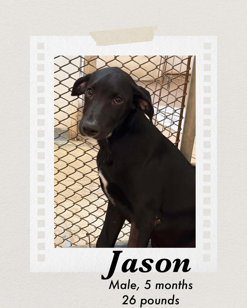 Photo of Jason