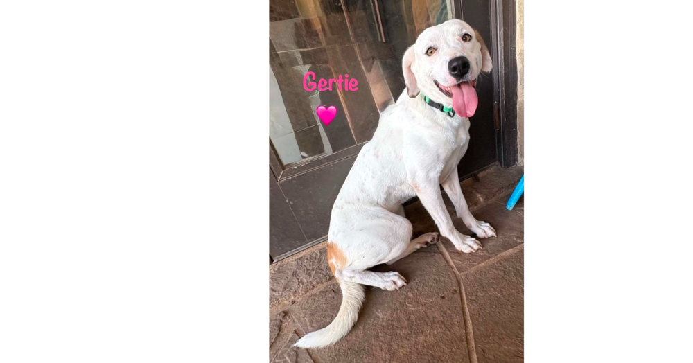 Gertie