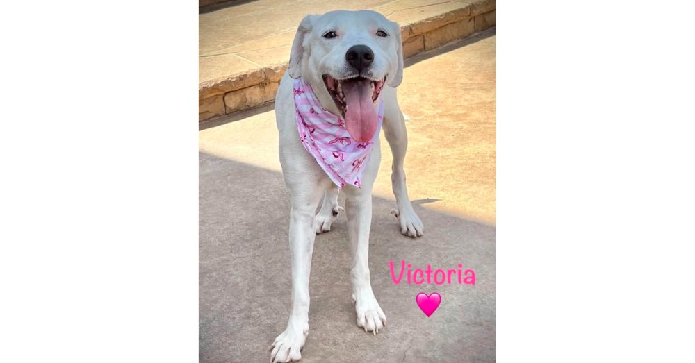 Victoria