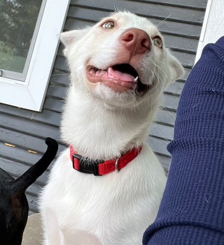 Molly