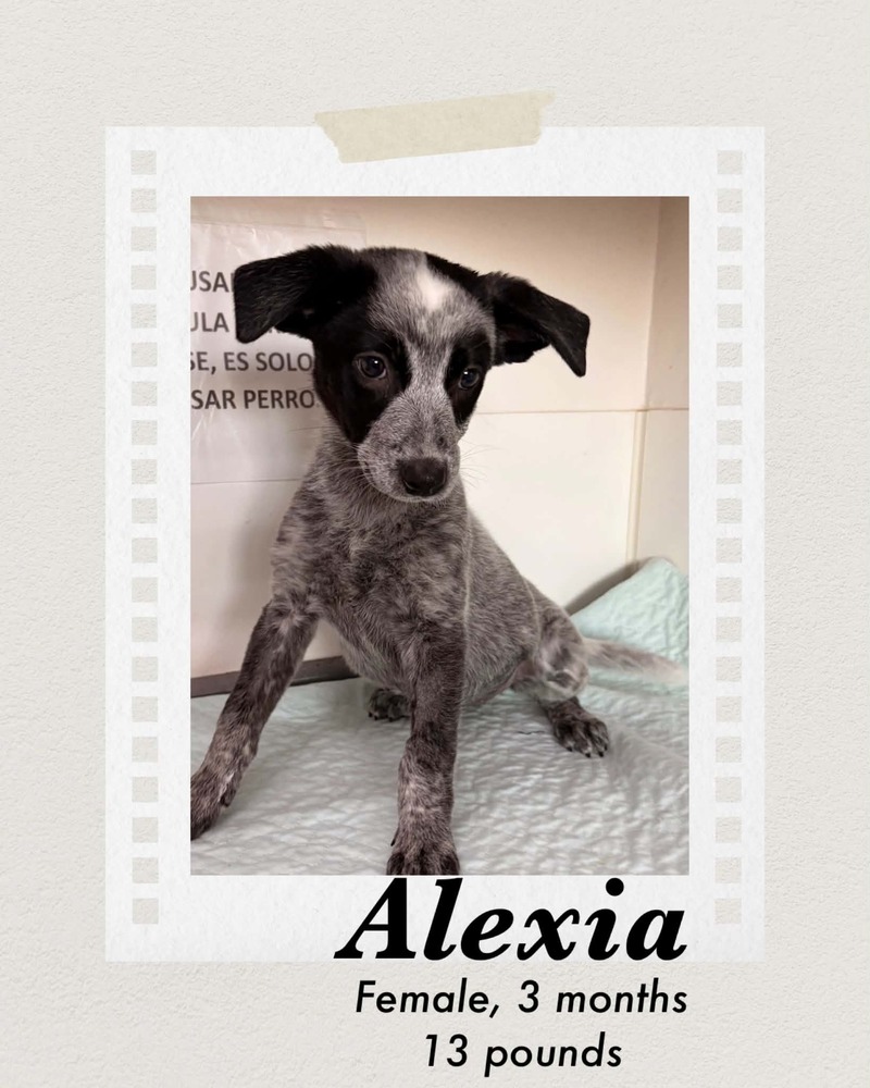 Photo of Alexia