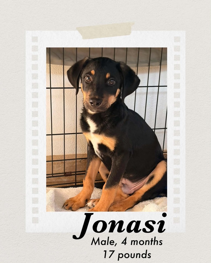 Photo of Jonasi