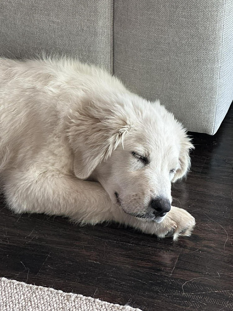Sadie photo 3