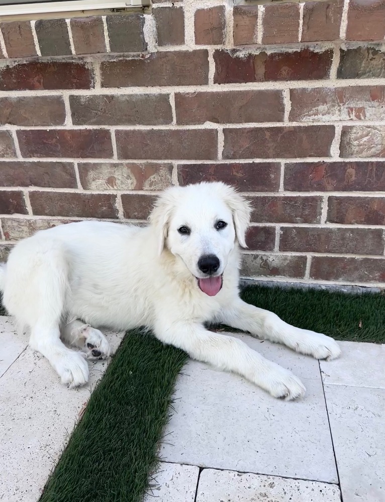 Sadie photo 2