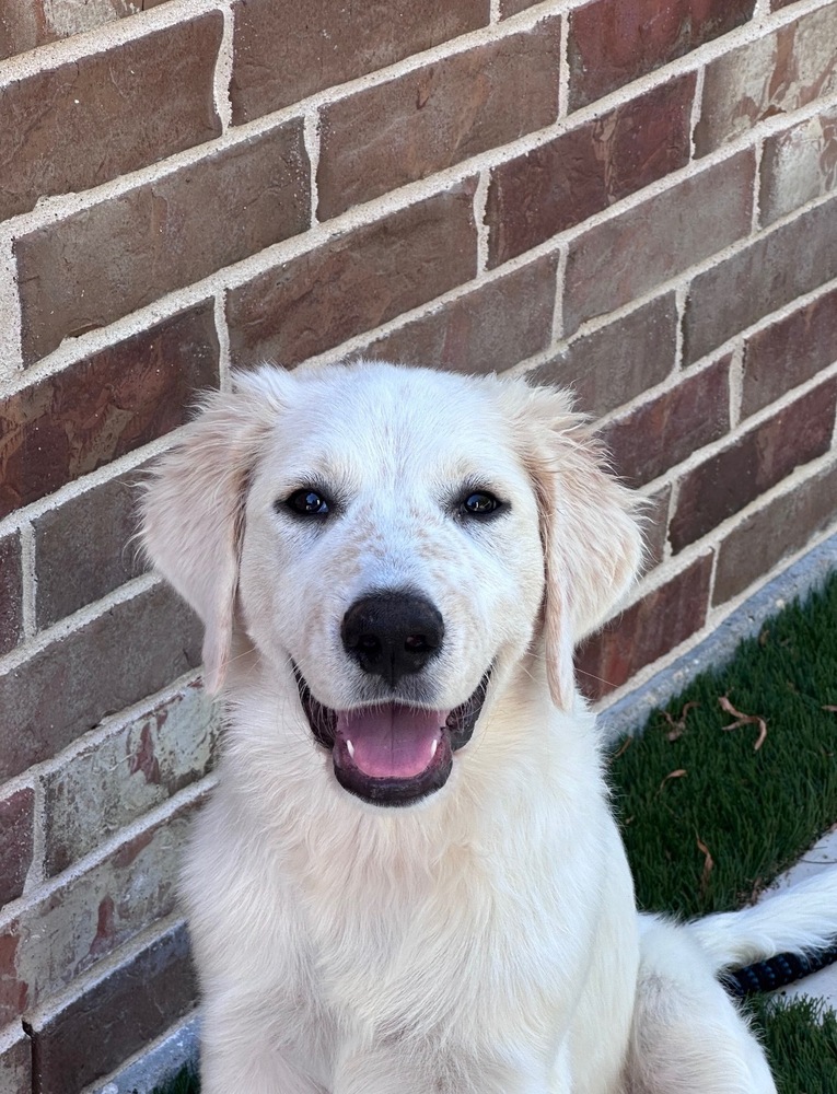 Daisy photo 3