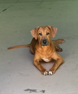 Photo of Gabe