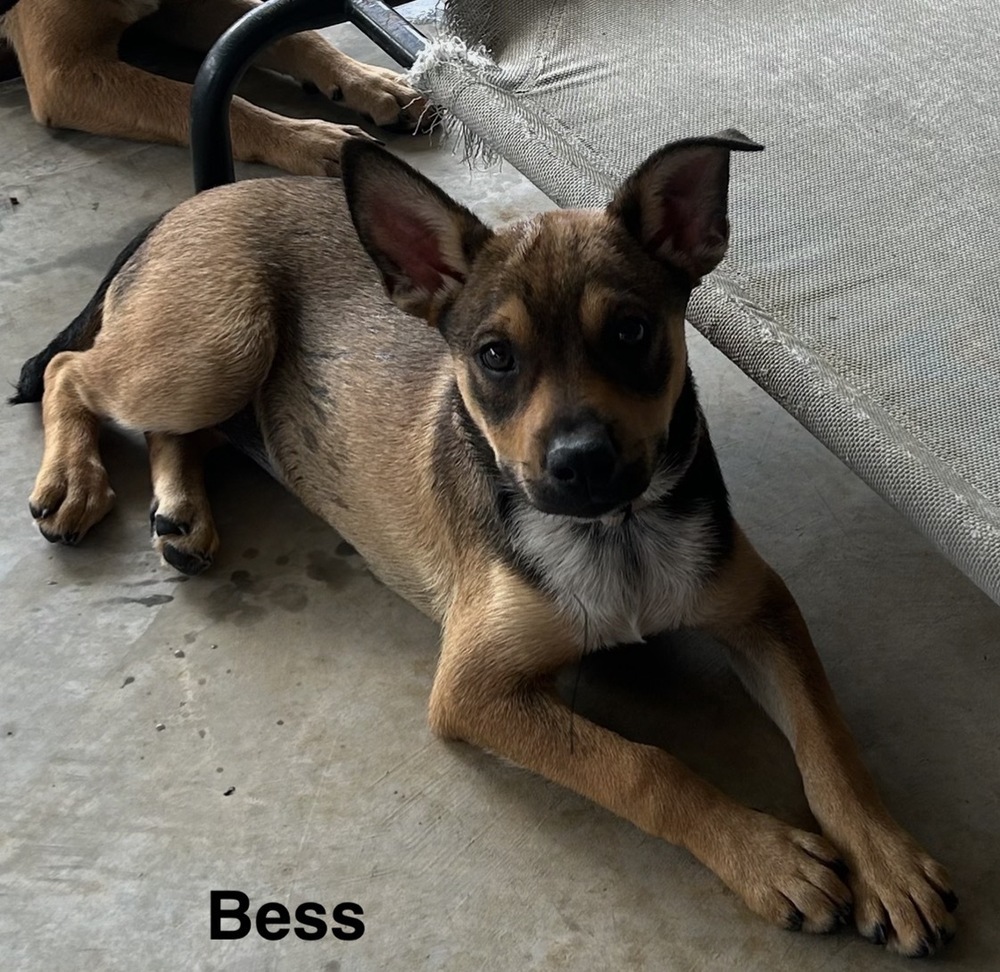 Bess photo 3