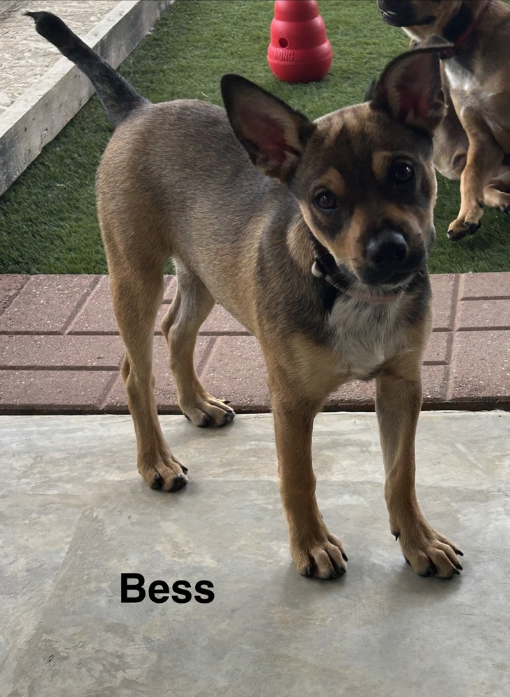 Bess photo 2