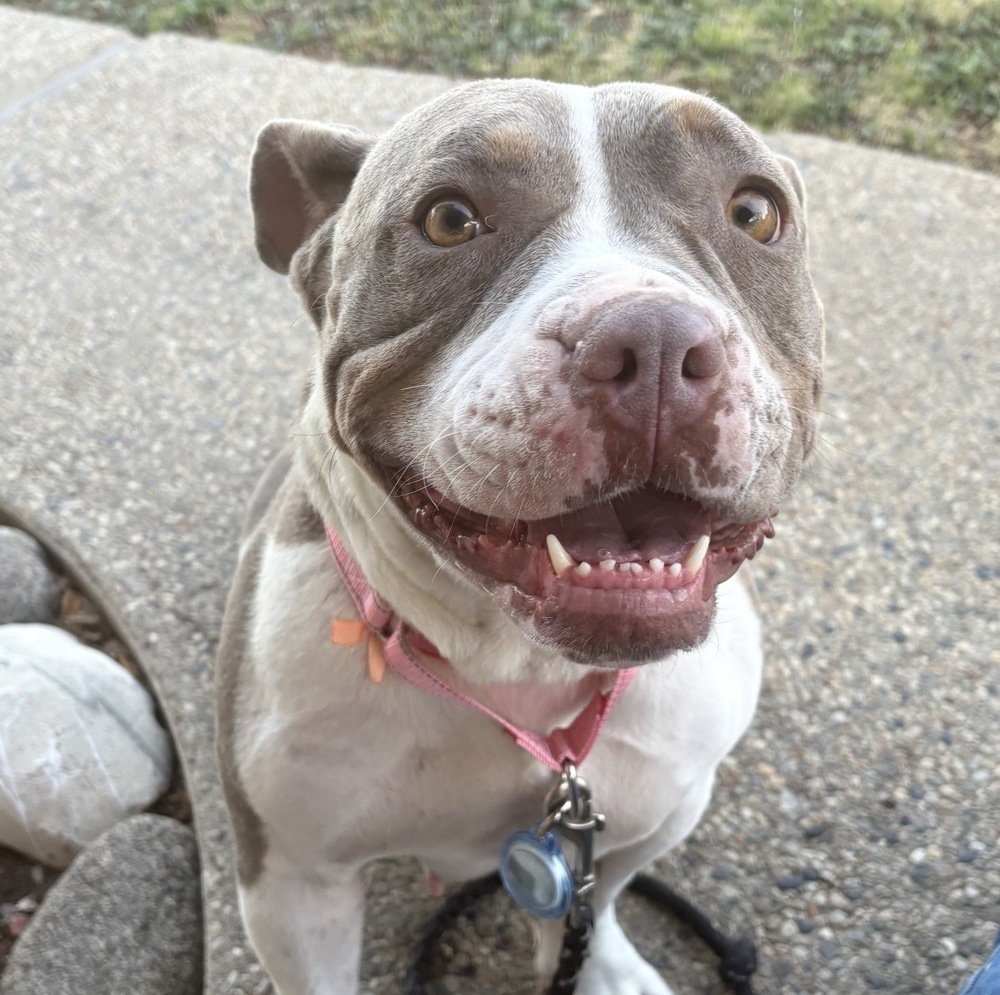 Rosie