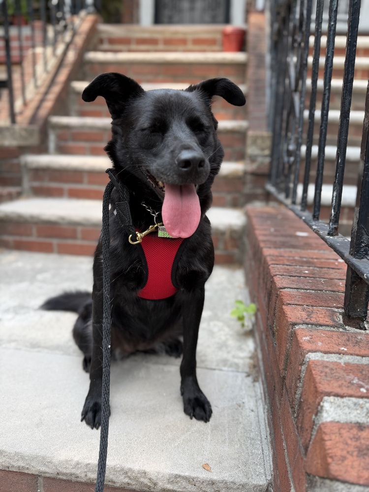 KKAMJA