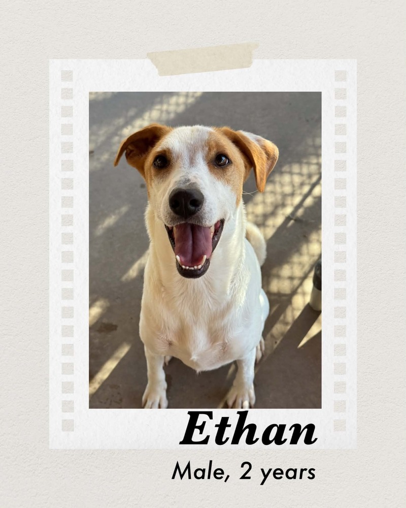 Photo of Ethan