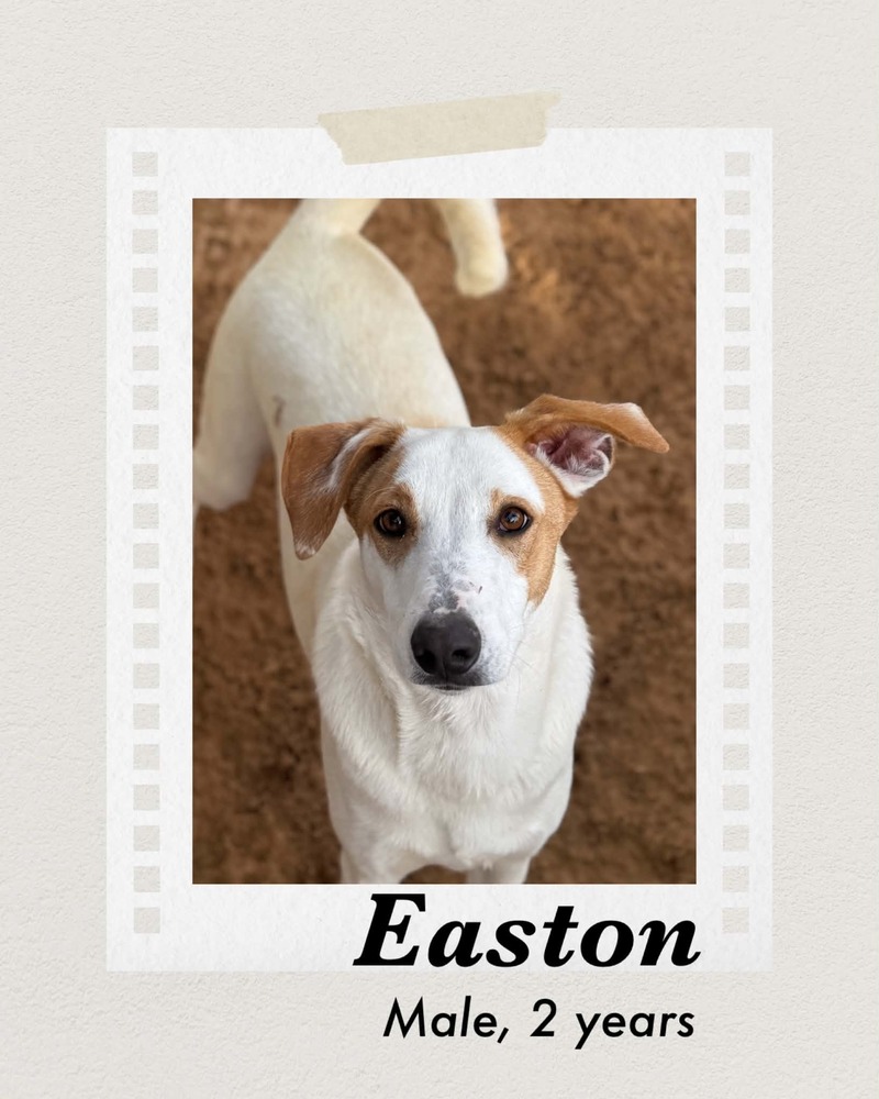 Easton