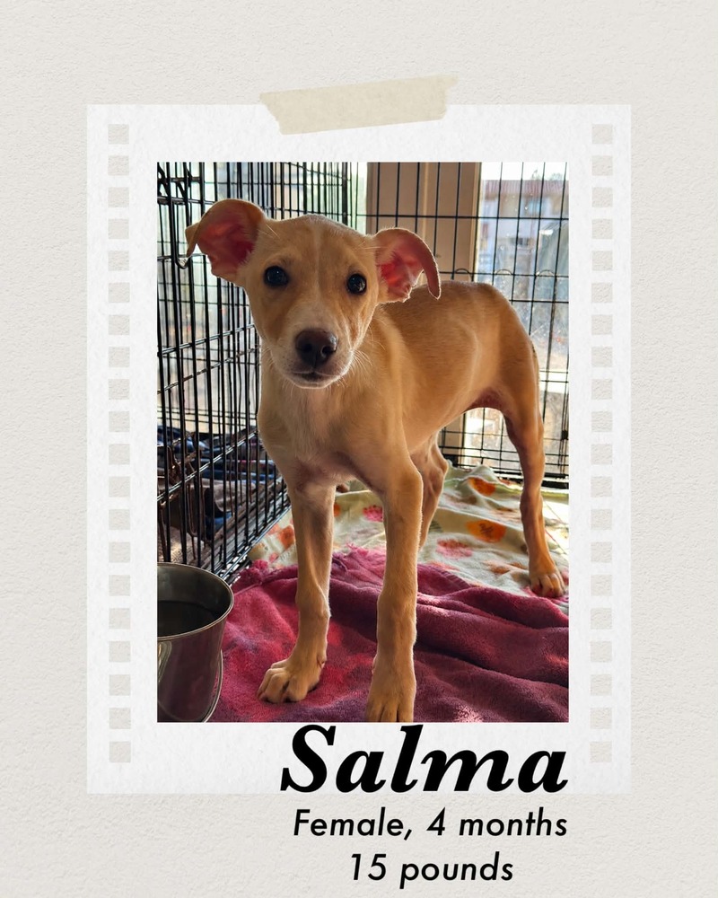 Photo of Salma