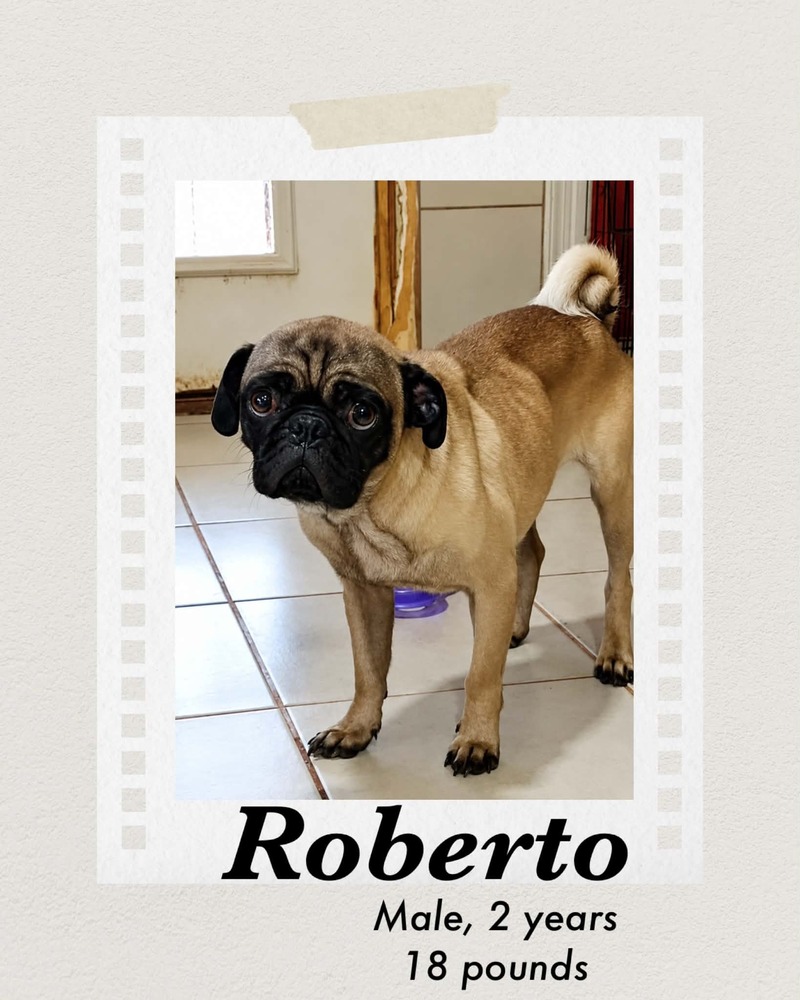 Photo of Roberto
