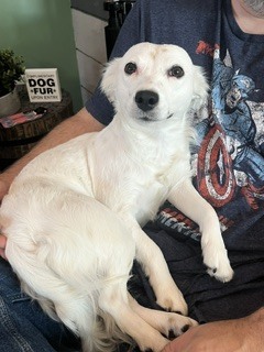 Photo of Sunny