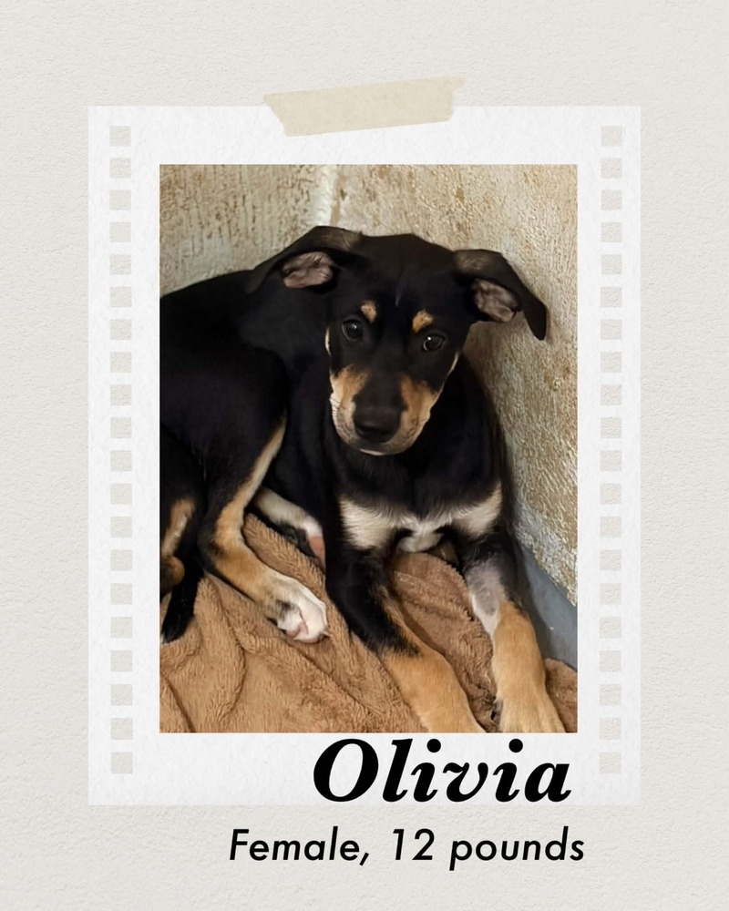 Photo of Olivia