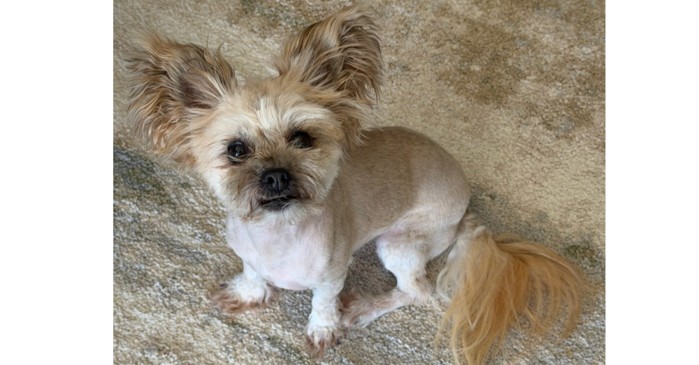 Brynne (Bonnie)