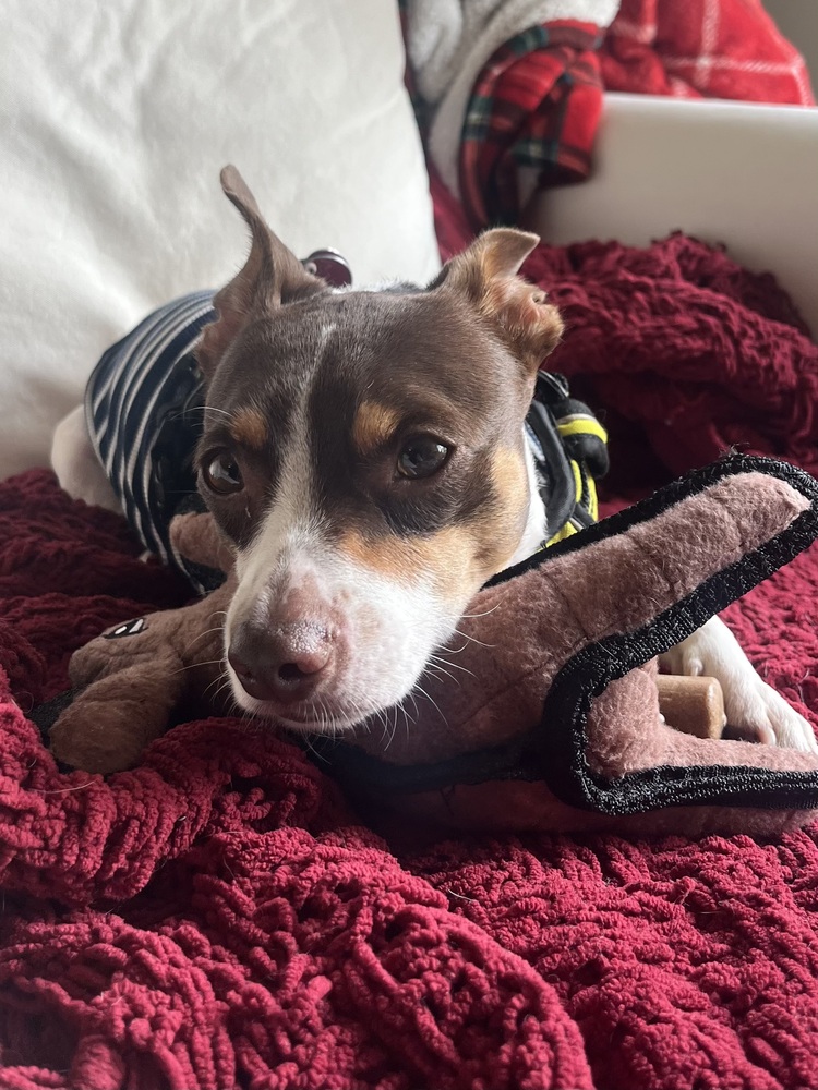 Max
