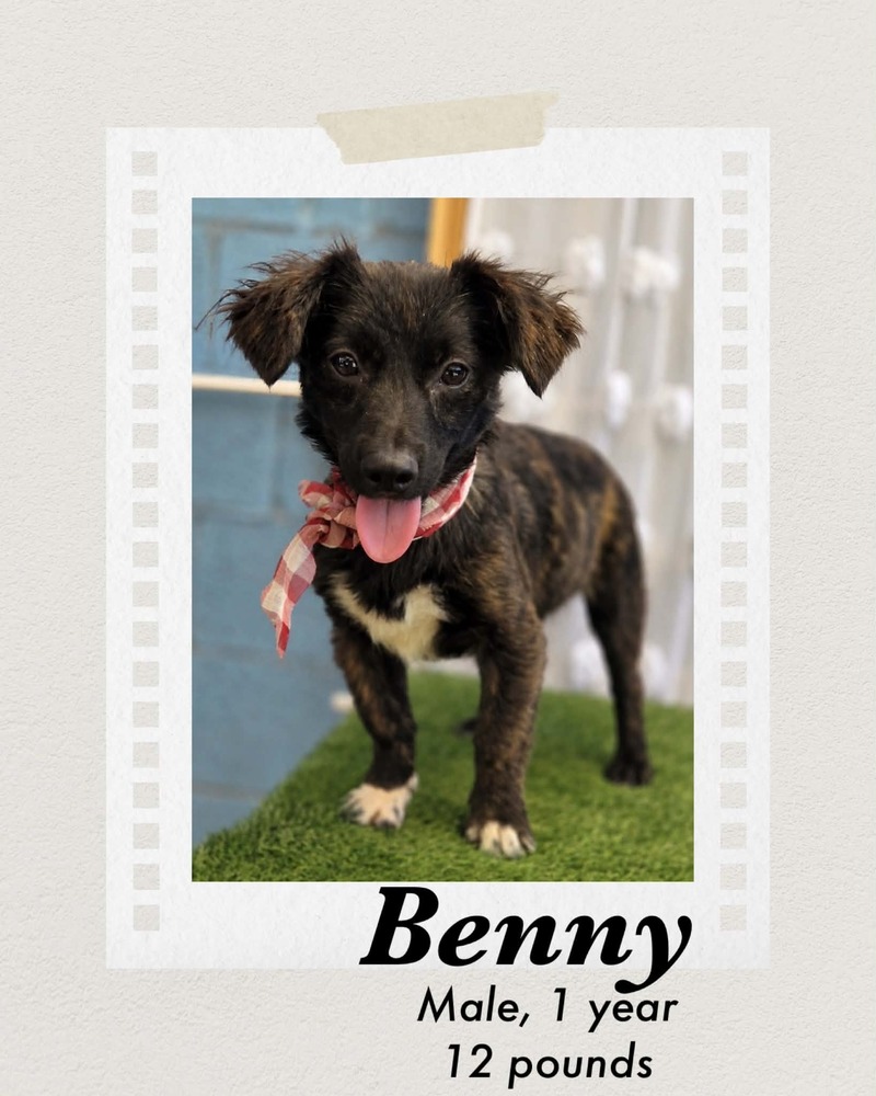 Photo of Benny