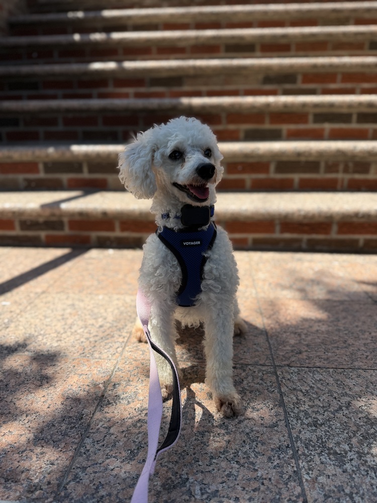 Roxy