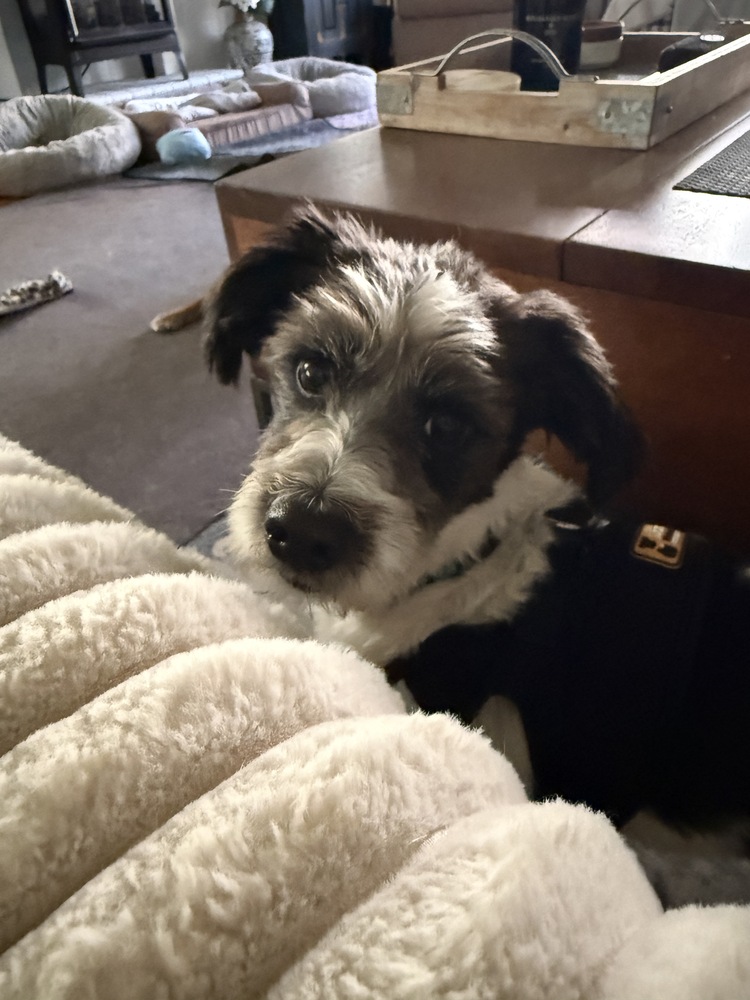 Marley
