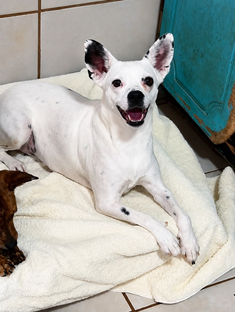 Photo of Bonnie