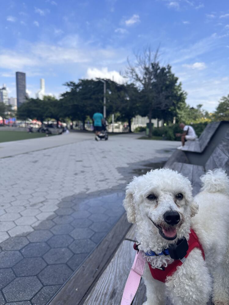 Roxy