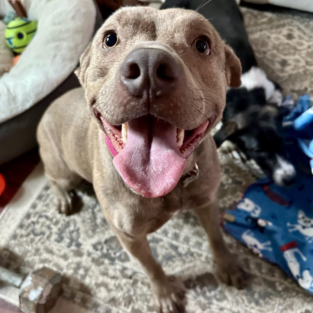 Bonnie