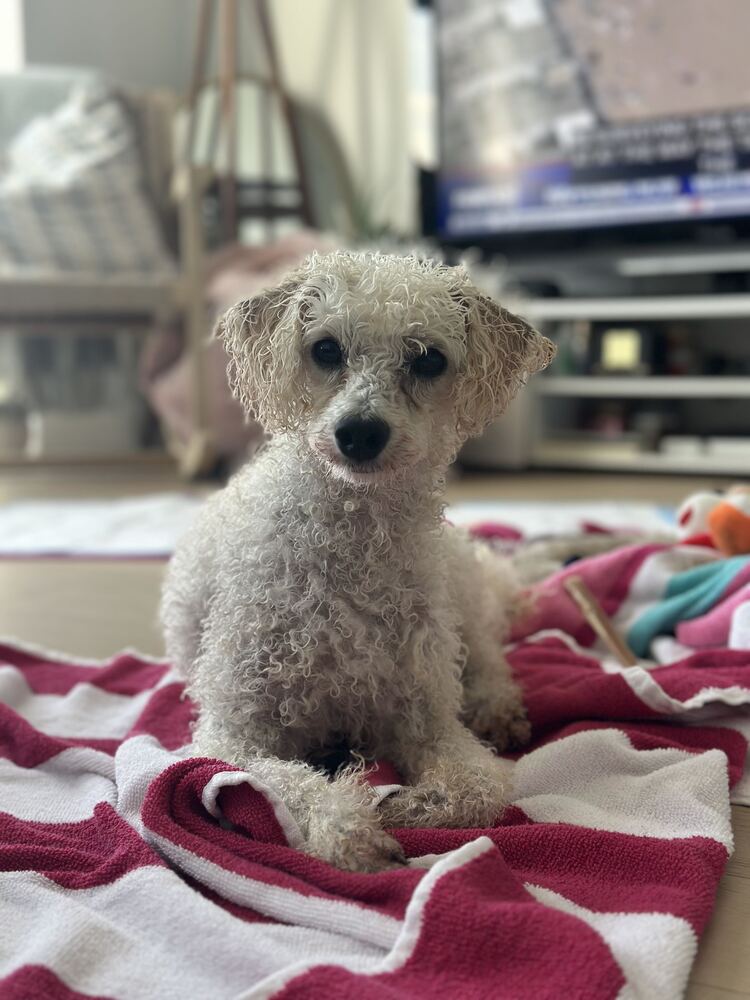 Roxy