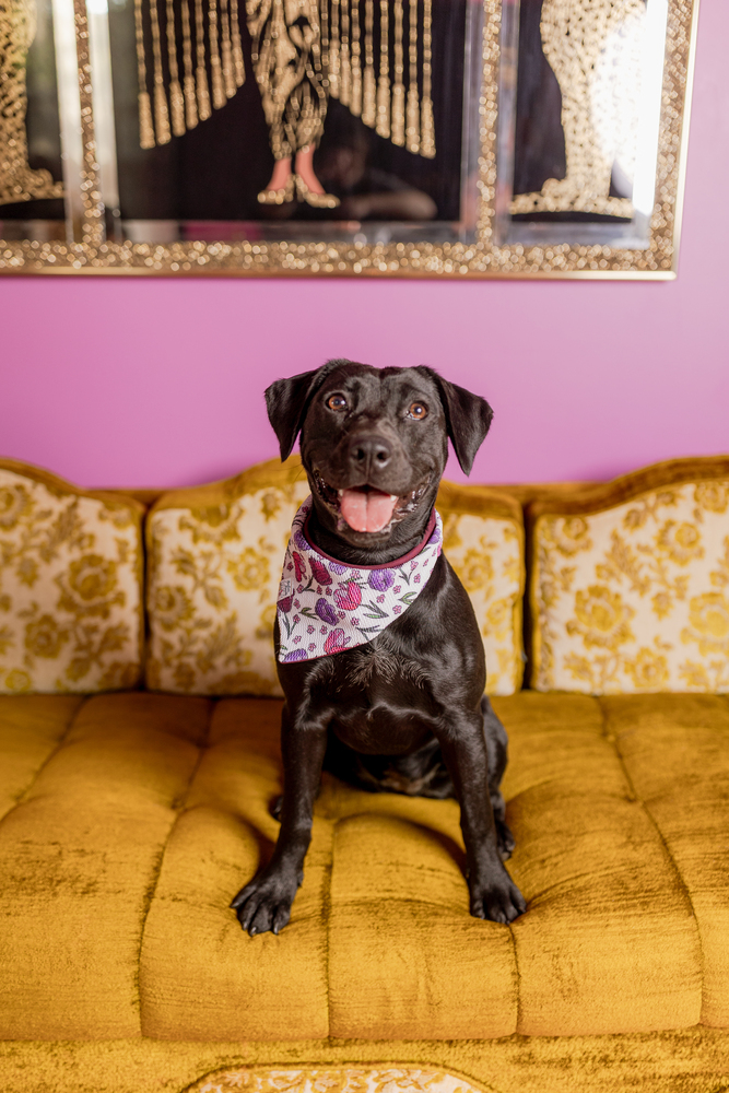 Lily Mae