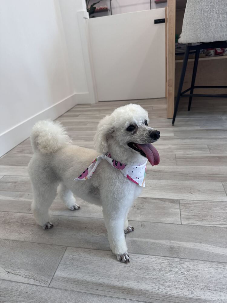 Roxy