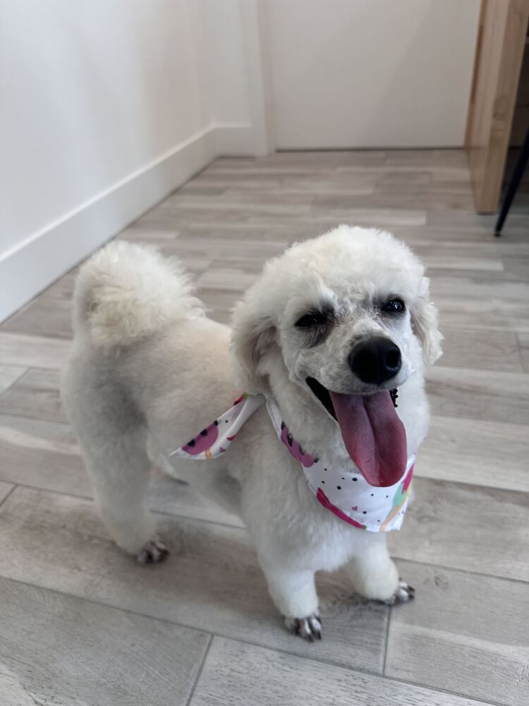 Roxy