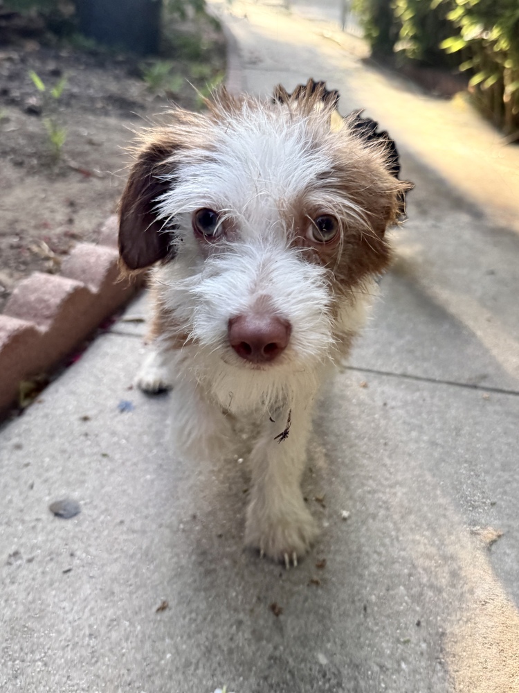 Ernie