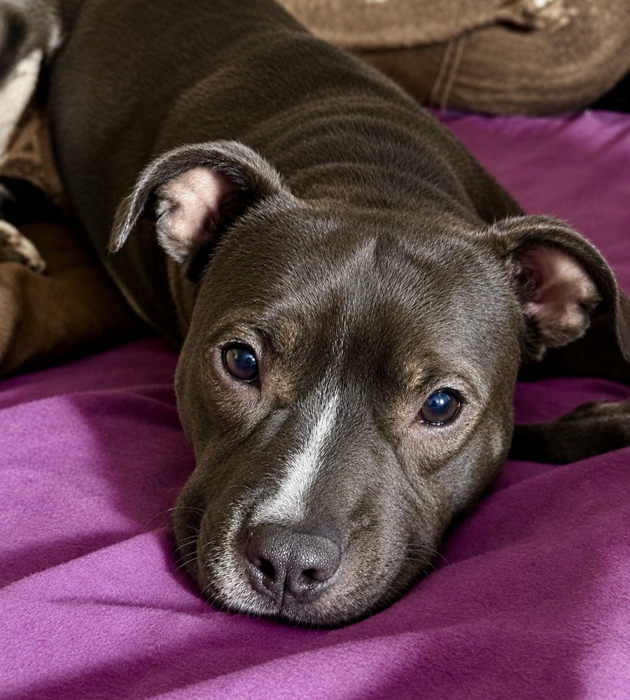Athena