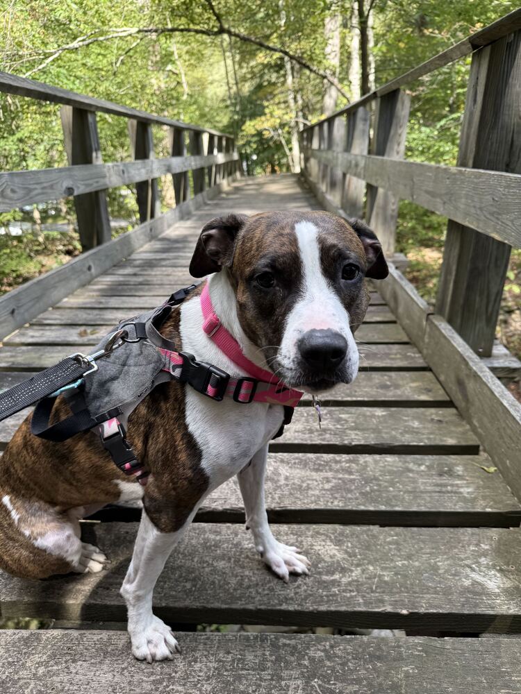 Penny