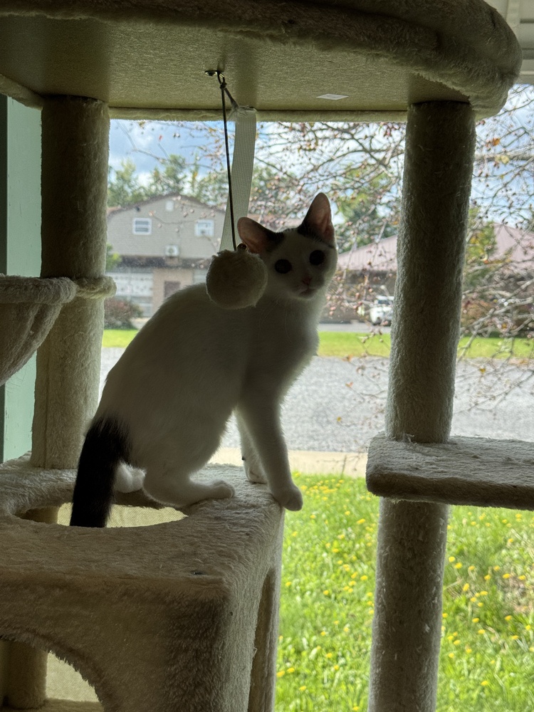 Milky Way