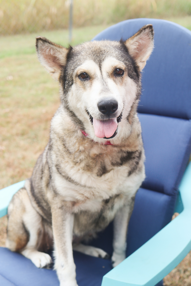Kita