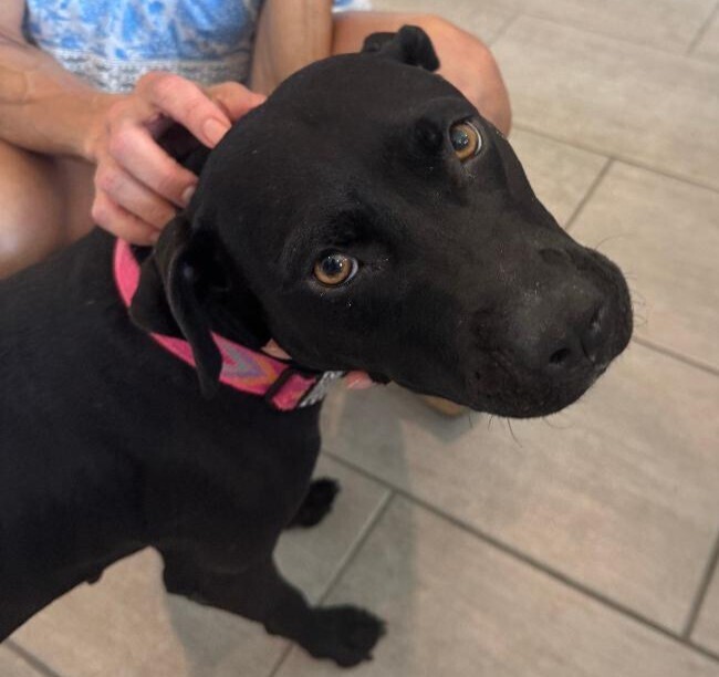 Emmi (Esther)
