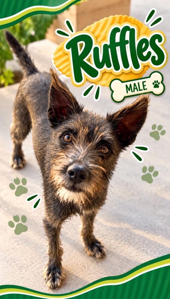 Photo of Ruffles