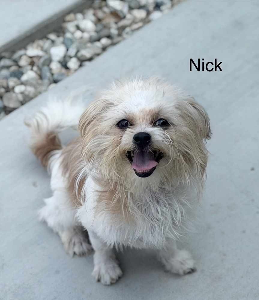 Nick #