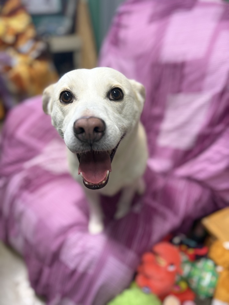 Mika