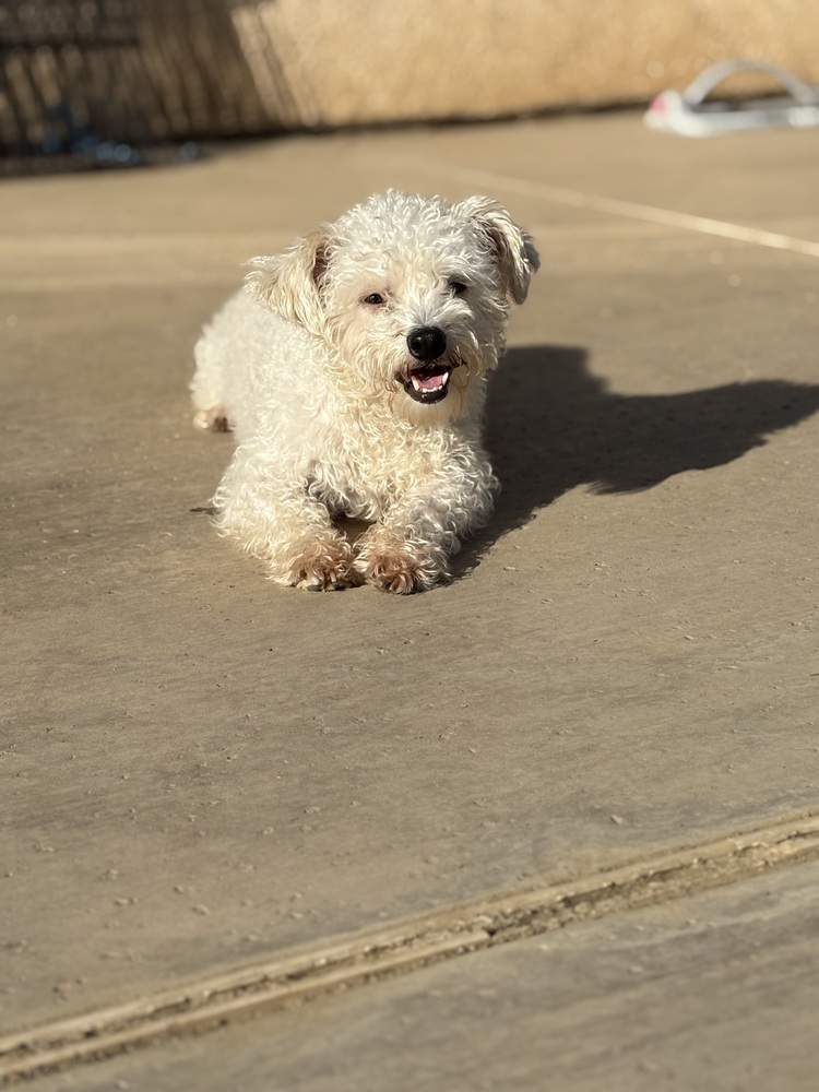 Benson